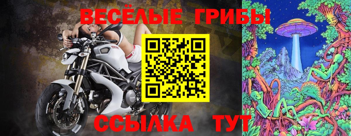 Шелехов  Псилоцибиновые грибы Magic Shrooms  Вход с VPN  Псилоцибиновые грибы MAGIC MUSHROOMS 